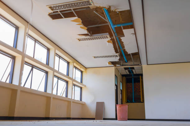 Best 24/7 water damage repair  in Woods Hole, MA