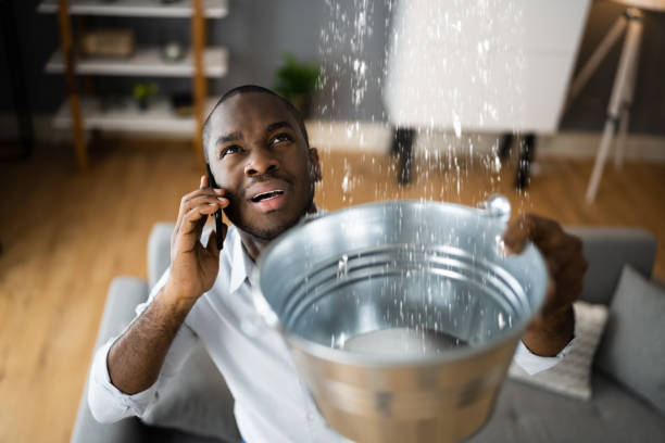 Best Carpet water damage restoration  in Woods Hole, MA