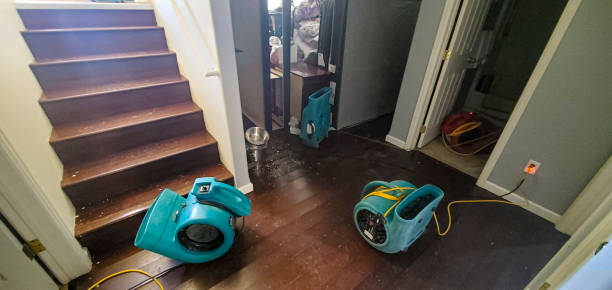 Best Flooded house restoration  in Woods Hole, MA