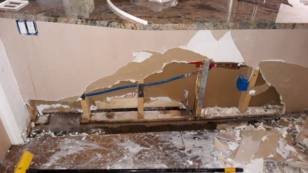 Best Water damage restoration mold remediation  in Woods Hole, MA