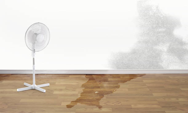 Best Water damage restoration company  in Woods Hole, MA