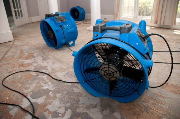 Best Local water damage restoration  in Woods Hole, MA