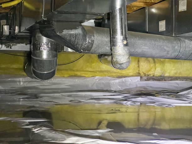 Best Basement water damage restoration  in Woods Hole, MA