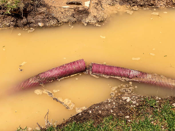 Best Professional water damage repair  in Woods Hole, MA